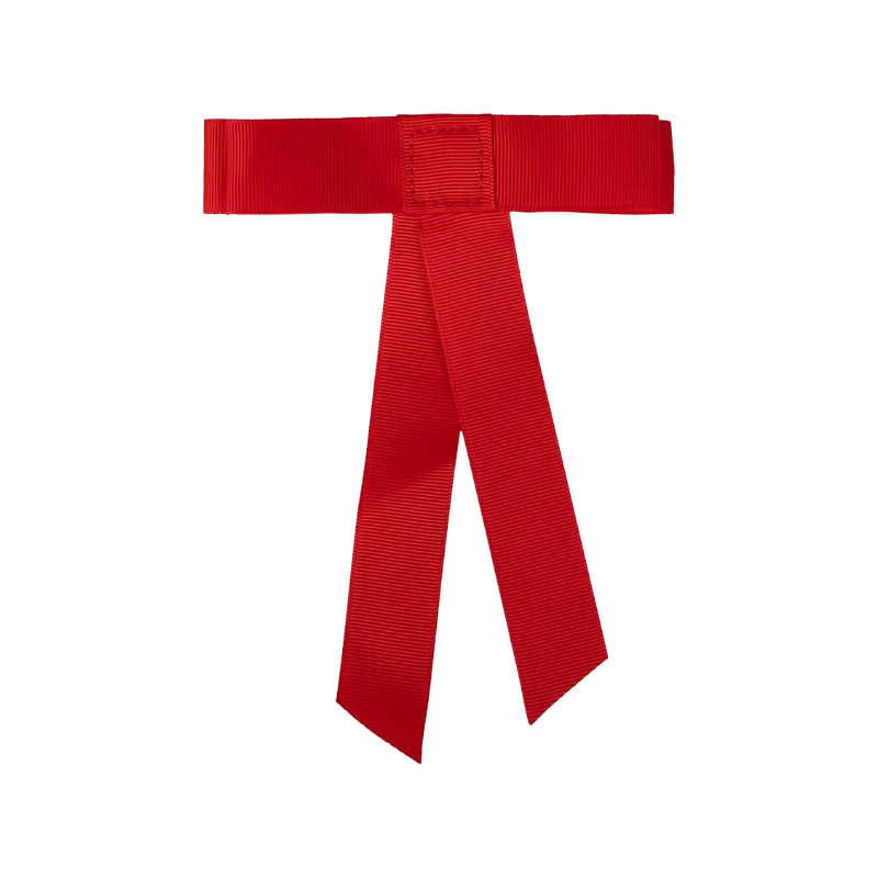 Kentucky Horsewear - Ruban de queue velcro rouge