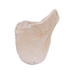 Kentucky Horsewear - Dressuurzadeldek met gouden plaat beige | - Ohlala