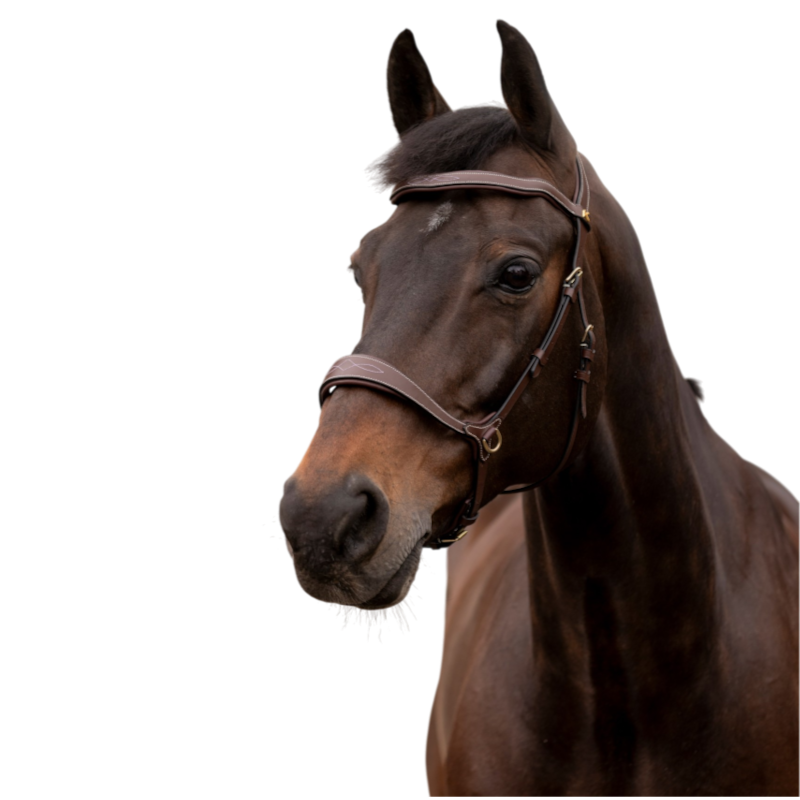 K By Equithème - Bridon K-KONNECT havane
