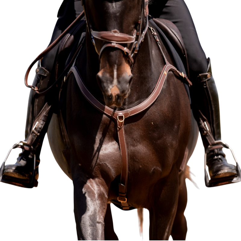 K By Equithème - Collier de chasse 3 points K-KONTOUR havane