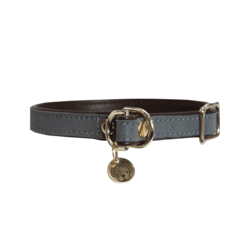 Kentucky Dogwear - Colliers pour chiens Loop gris | - Ohlala