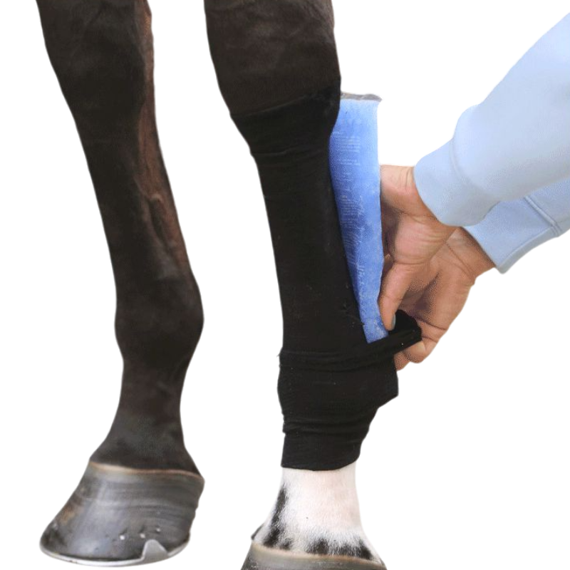 Kentucky Horsewear - Bande Tendon Grip (x1) | - Ohlala