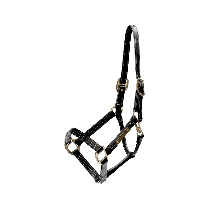 Kentucky Horsewear - Licol en cuir Wellington noir | - Ohlala