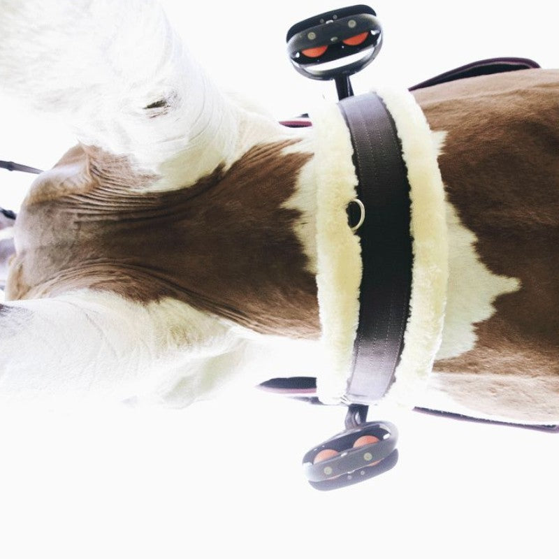 Kentucky Horsewear- Sangle mouton | - Ohlala