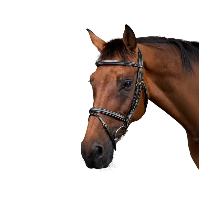 Dyon - Bridon muserolle combinée Dy'on Collection noir