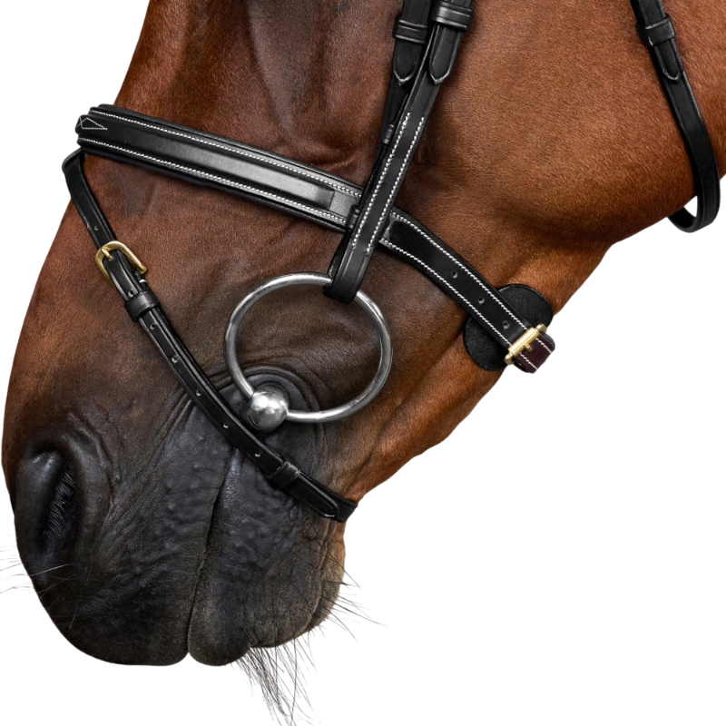 Dyon - Bridon muserolle combinée Dy'on Collection noir