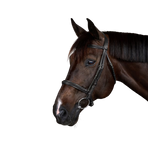 Dyon - Bridon New English Collection noir | - Ohlala