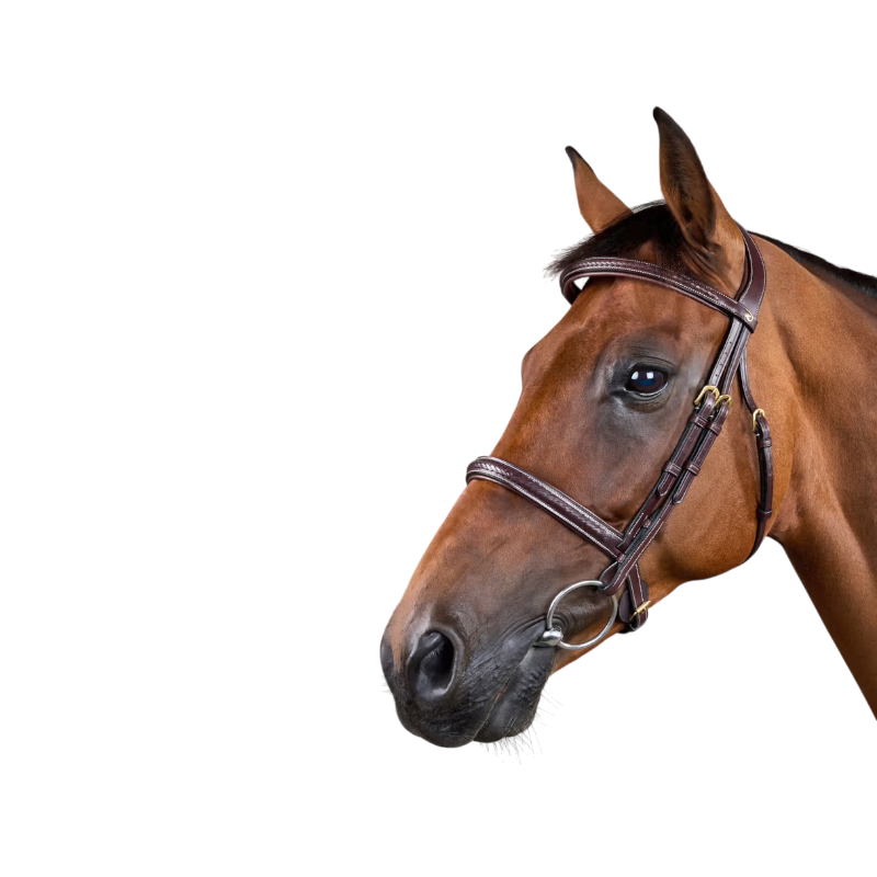 Dyon - Bridon tressé Dy'on Collection marron