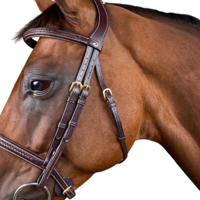 Dyon - Bridon tressé Dy'on Collection marron