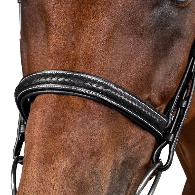 Dyon - Bridon tressé Dy'on Collection noir