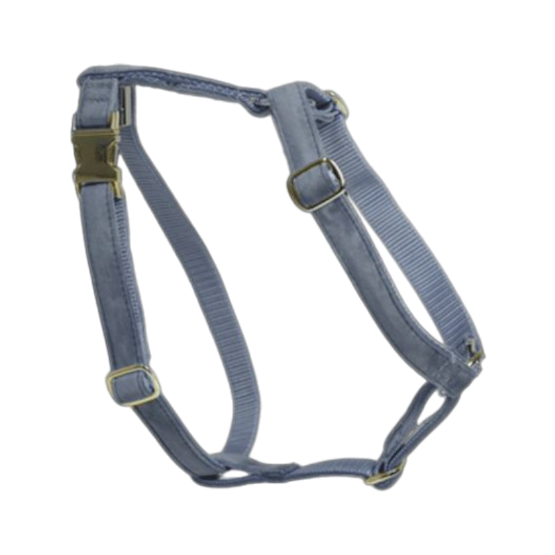 Kentucky Dogwear - Harnais pour chiens Velvet Bleu ciel | - Ohlala