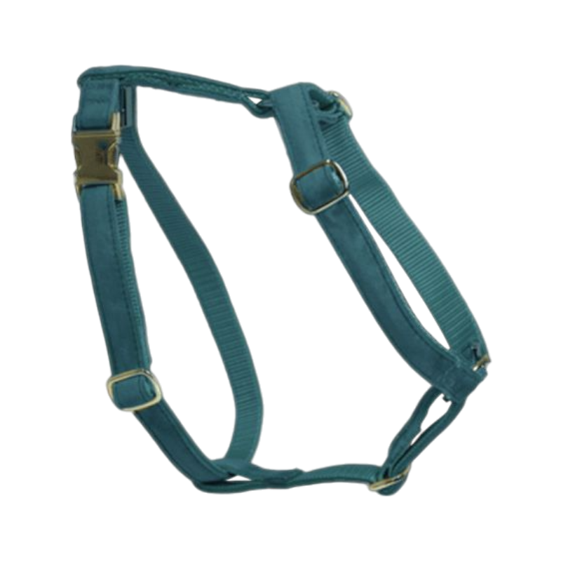 Kentucky Dogwear - Harnais pour chiens Velvet émeraude | - Ohlala