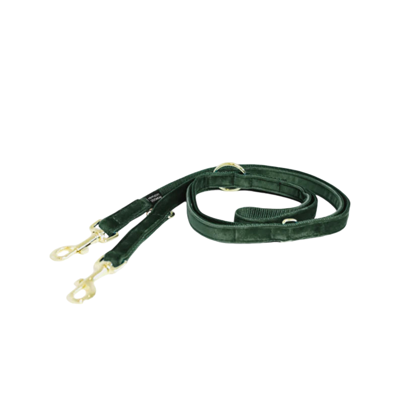 Kentucky Dogwear - Laisse de chien velvet pine green 2m | - Ohlala