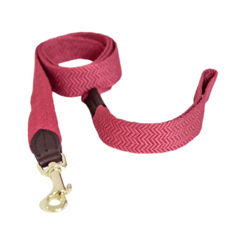 Kentucky Dogwear - Laisse pour chien Jacquard rose | - Ohlala