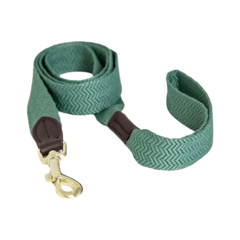 Kentucky Dogwear - Laisse pour chien Jacquard vert olive | - Ohlala