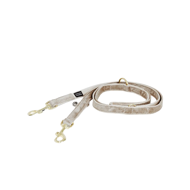 Kentucky Dogwear - Laisse pour chien Velvet 2m beige