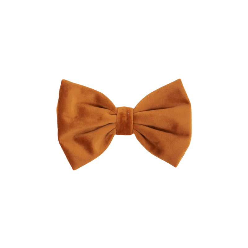 Kentucky Dogwear - Nœud papillon velvet orange | - Ohlala