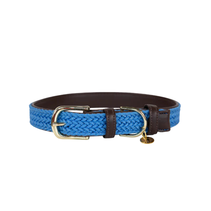 Kentucky Dogwear - Nylon tressé collier de chien bleu clair
