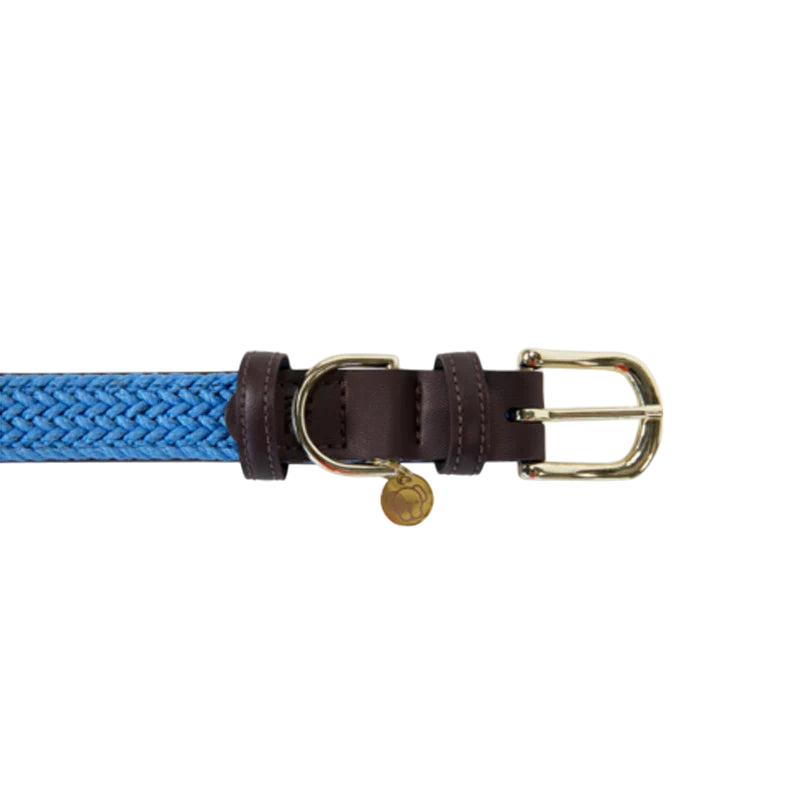 Kentucky Dogwear - Nylon tressé collier de chien bleu clair