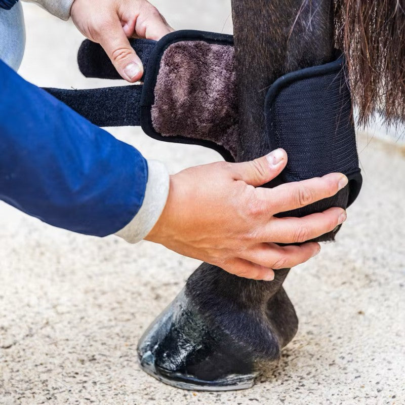 Kentucky Horsewear - Guêtres de cross courtes postérieurs 3D Air Flow Skin Friendly noir