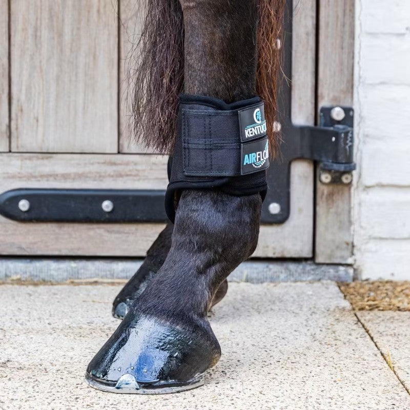 Kentucky Horsewear - Guêtres de cross courtes postérieurs 3D Air Flow Skin Friendly noir