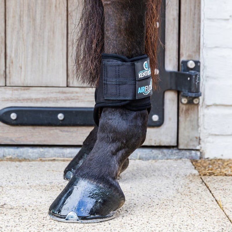 Kentucky Horsewear - Guêtres de cross courtes postérieurs 3D Air Flow noir