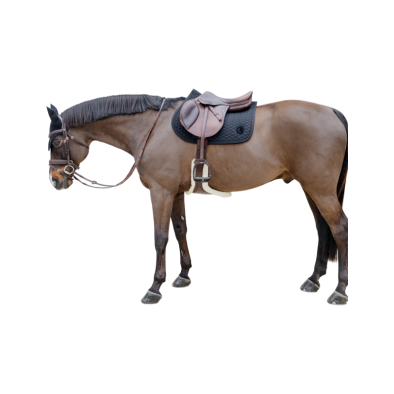 Kentucky Horsewear - Tapis de selle 3D logo noir