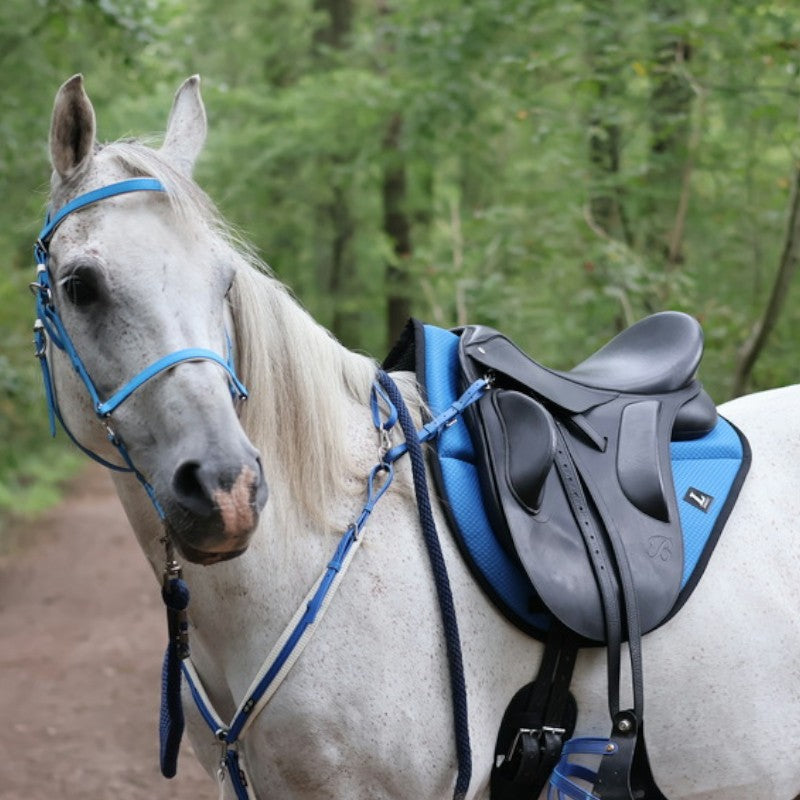 Lami-cell - Tapis de selle New Endurance mesh bleu | - Ohlala