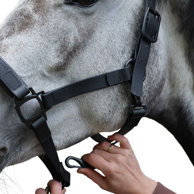 Lami-cell - Flexicare halster zwart