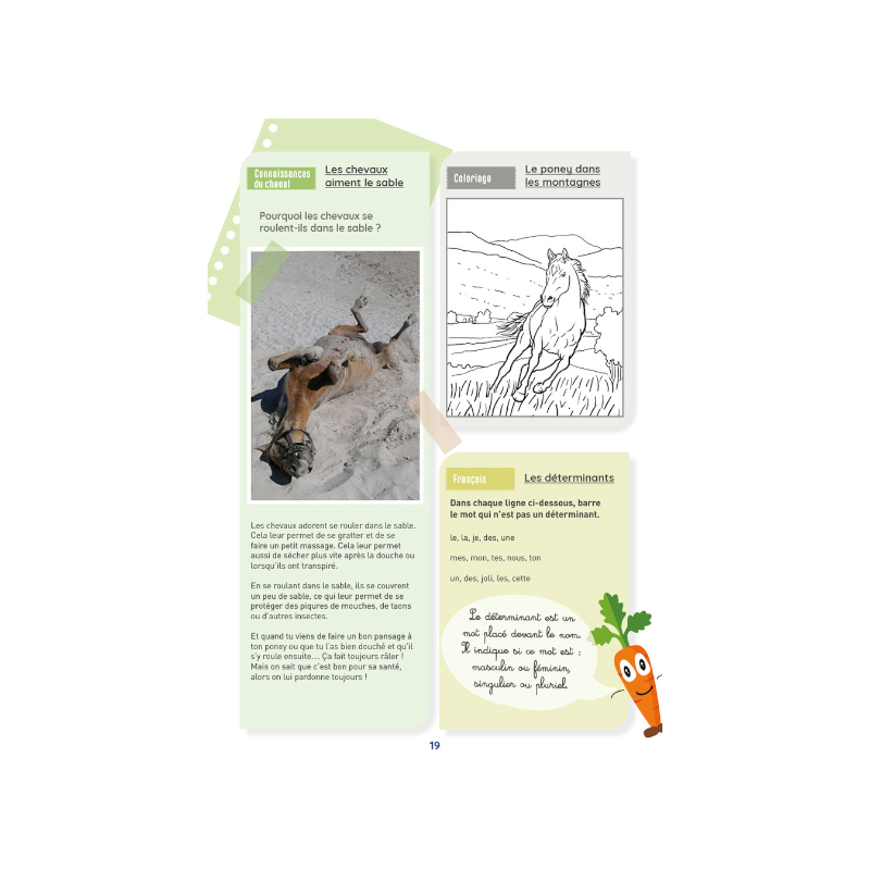 Lavauzelle - Cahier d'activités sur le thème du cheval niveau CE1 | - Ohlala