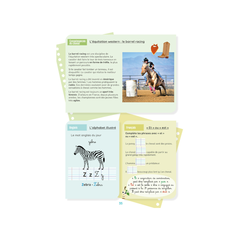 Lavauzelle - Cahier d'activités sur le thème du cheval niveau CE2 | - Ohlala