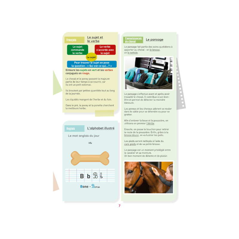 Lavauzelle - Cahier d'activités sur le thème du cheval niveau CM1 | - Ohlala