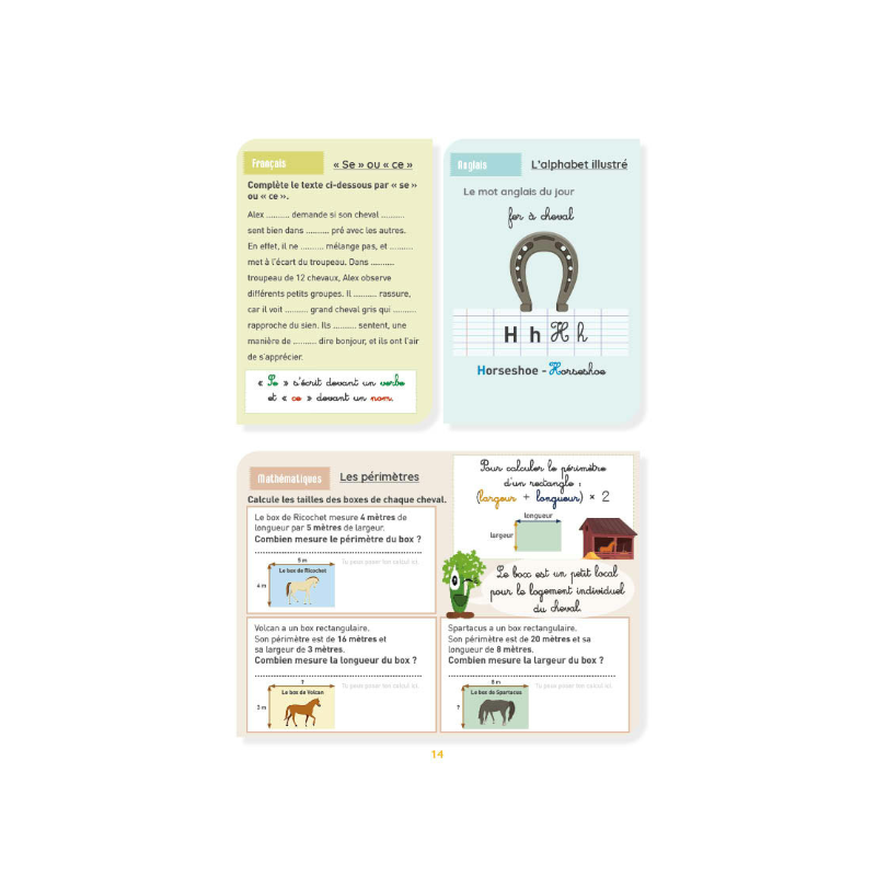 Lavauzelle - Cahier d'activités sur le thème du cheval niveau CM2 | - Ohlala