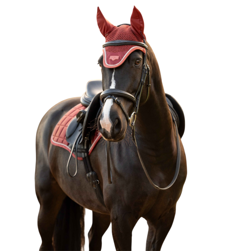 LeMieux - Bonnet pour chevaux Loire russet