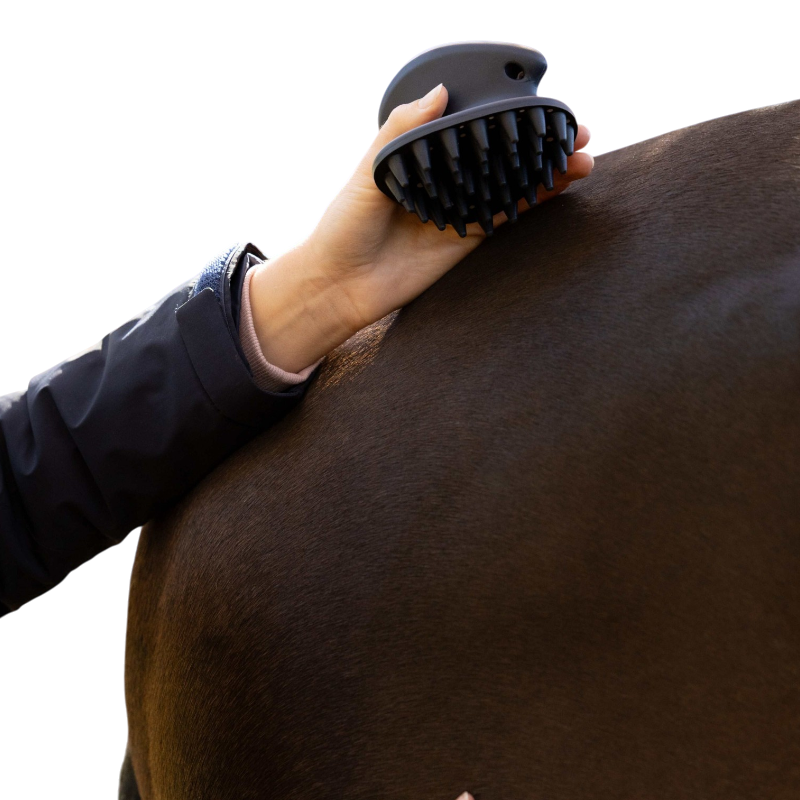 LeMieux - Brosse de massage marine