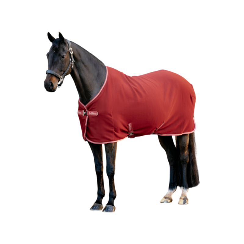 LeMieux - Chemise polaire Arika Jersey-Tek russet