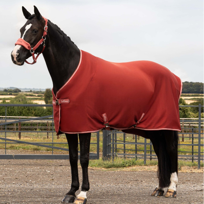 LeMieux - Chemise polaire Arika Jersey-Tek russet