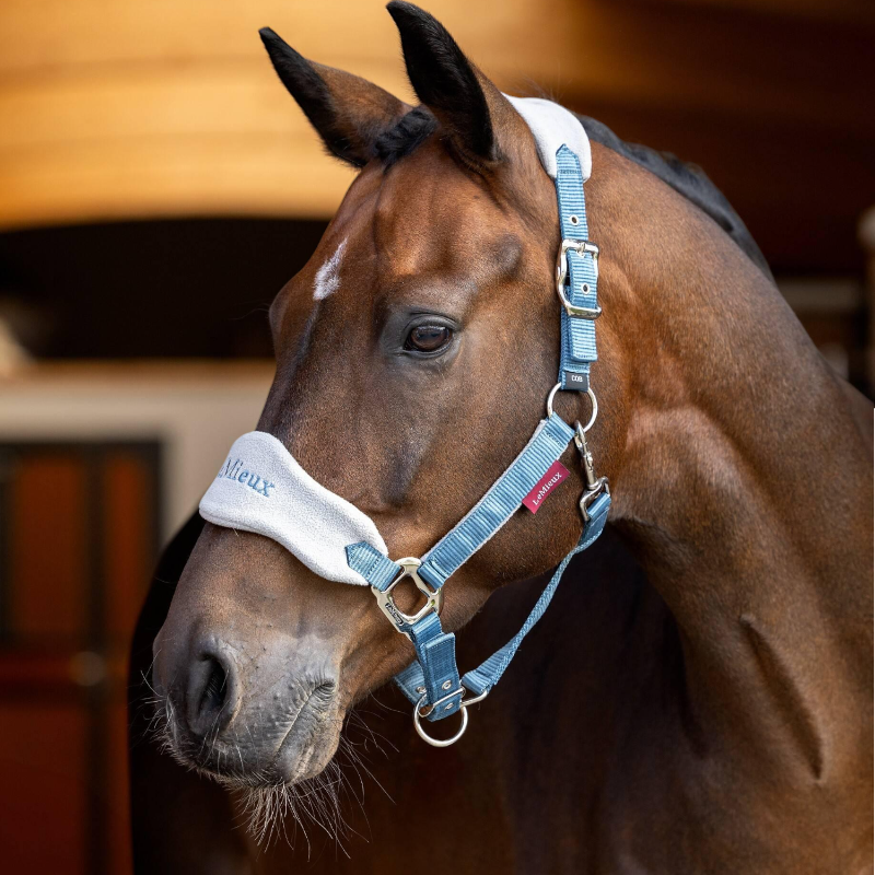 Lemieux - Licol et longe Vogue ice blue | - Ohlala