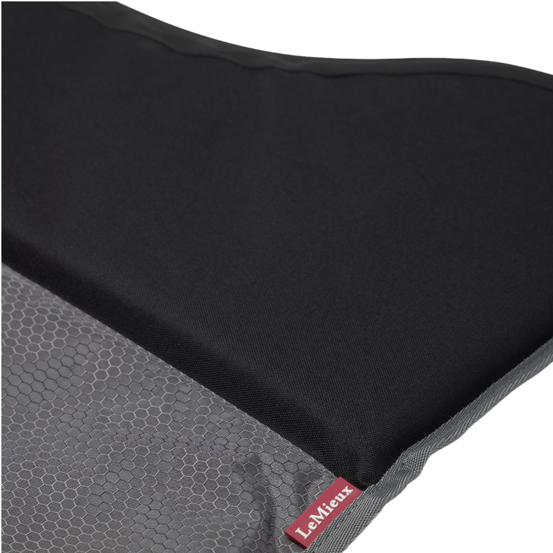 Lemieux - Porte de box Pro Stable Guard noir | - Ohlala