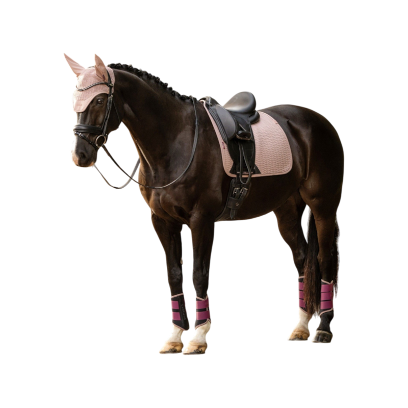 LeMieux - Tapis de dressage Essence wild rose