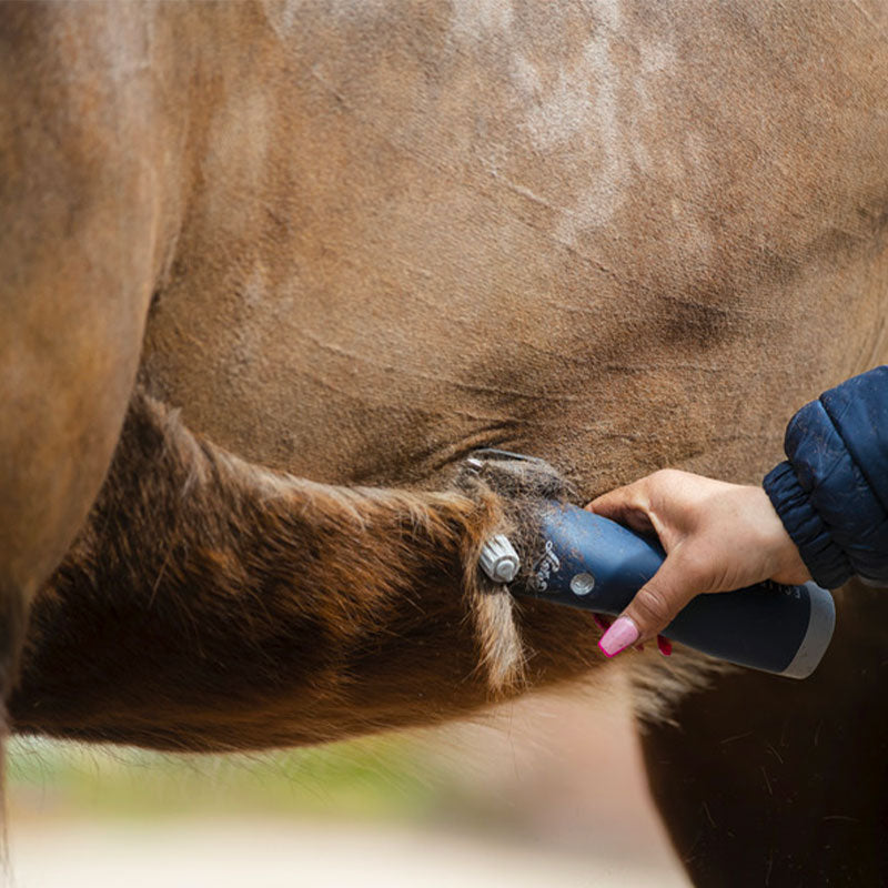 Lister - Tondeuse pour chevaux Eclipse sans fil | - Ohlala