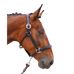 Jump'In - Fancy One halster zwart | - Ohlala
