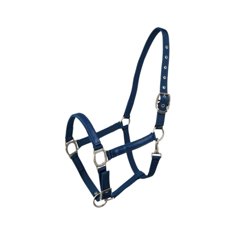 Lami-cell - Licol LC bleu atol | - Ohlala