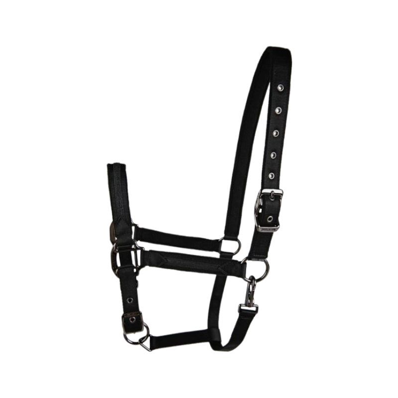 Lami-cell - Licol Sparkling noir | - Ohlala