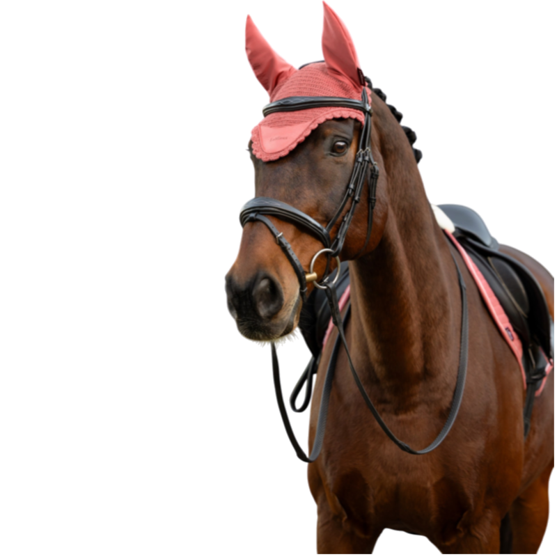 LeMieux - Bonnet pour chevaux Classic spiced earth
