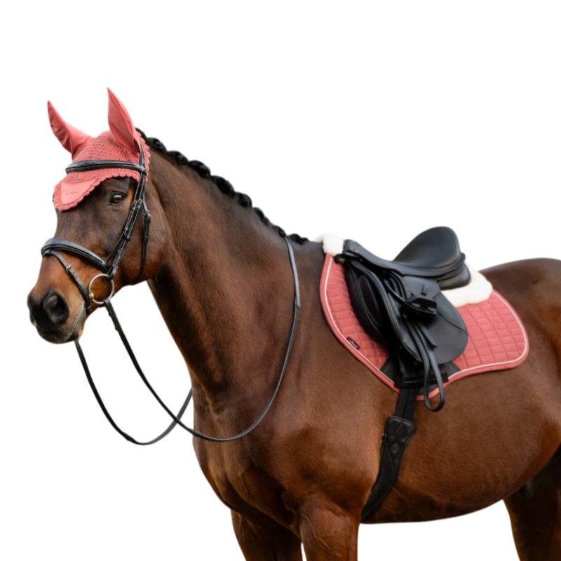 LeMieux - Bonnet pour chevaux Classic spiced earth