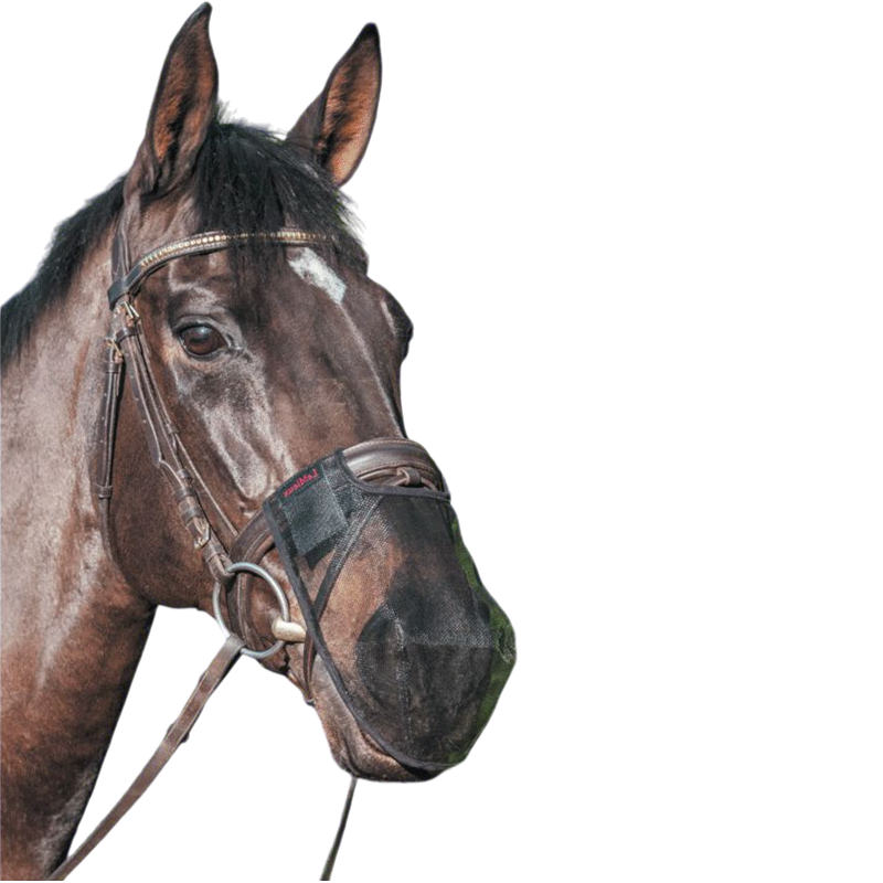 LeMieux - Filet protège naseaux noir | - Ohlala