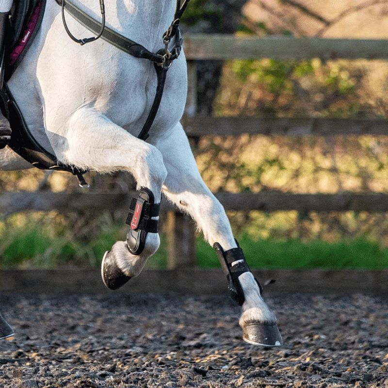 LeMieux - Guêtres Junior Pro noir | - Ohlala