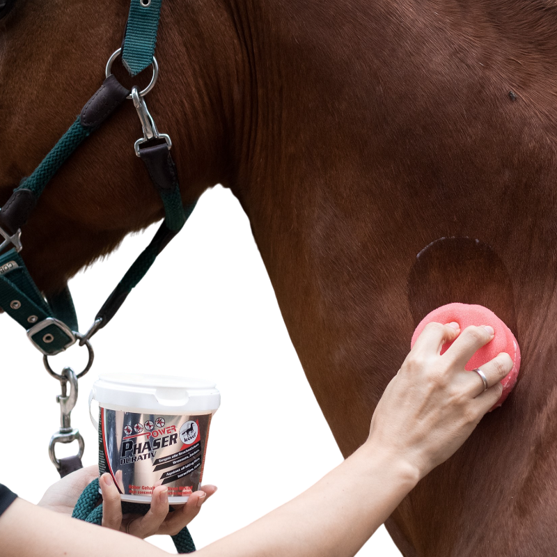 Leovet - Gel anti-insectes avec éponge chevaux sensibles Power Phaser | - Ohlala