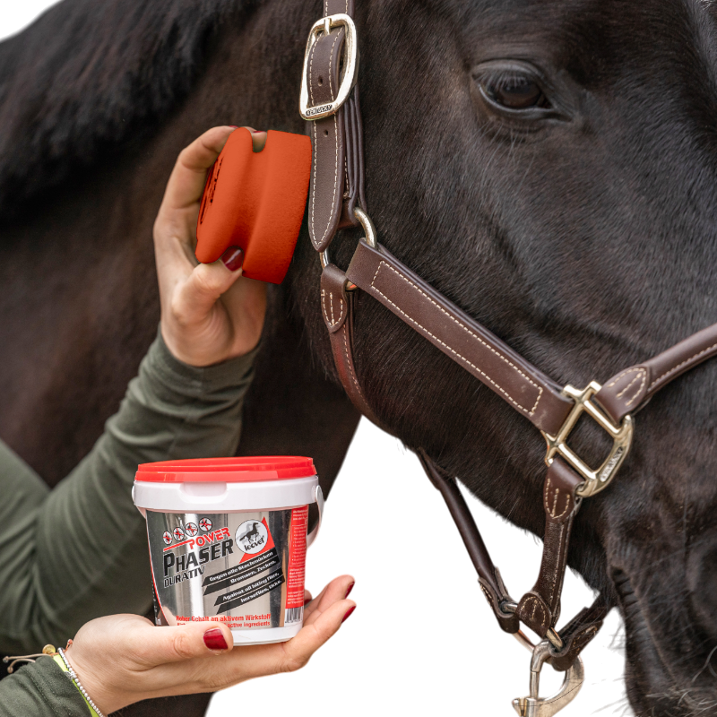 Leovet - Gel anti-insectes avec éponge chevaux sensibles Power Phaser | - Ohlala